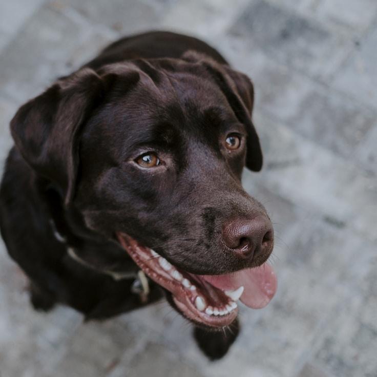 Alex Rivera, Lead Design Curator at Module Sector Domain, reviewing corporate floral arrangements